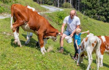 Bauernhof Griesbichlhof | Ferienbauernhof Großarltal – Bild