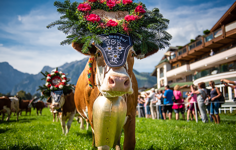 urlaub bauernhof almabtrieb 81dff17d