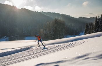 RS2662 2017 01 10 SLT Themenshooting Skating CSLT Michael Grossinger IMG 0428 lpr 2