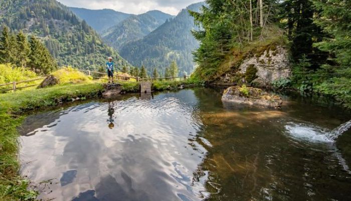Bauernhof Griesbichlhof | Ferienbauernhof Großarltal – Bild
