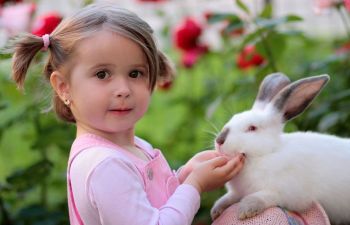 maedchen hase ebbe5141