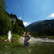 urlaub am bauernhof grossarltal003 837d254e
