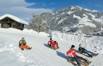 bauernhofurlaub grossarl 555 1 full