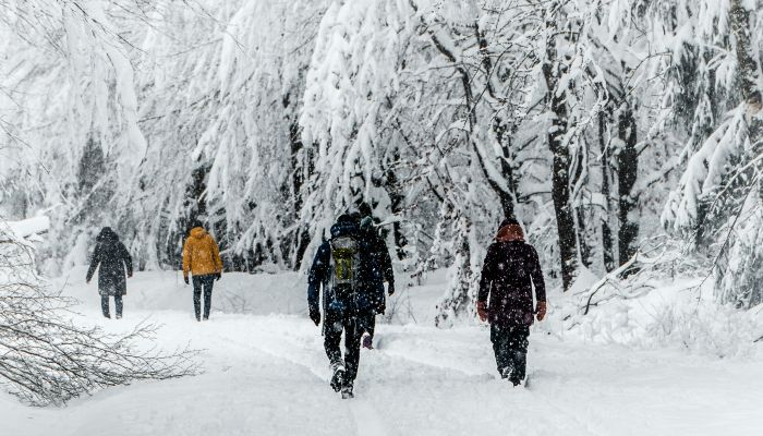 winterwandern schnee winterurlaub
