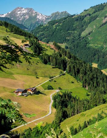bauernhofurlaub grossarltal009